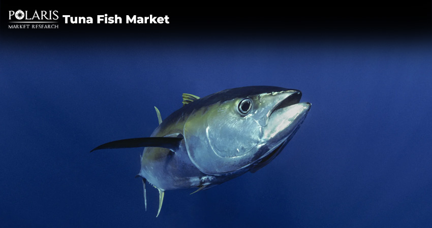 What Makes Tuna a Global Culinary Staple?